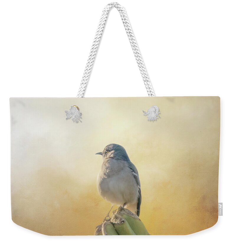 Mockingbird Weekender Tote Bag featuring the photograph Northern Mockingbird on Cactus Six by Elisabeth Lucas