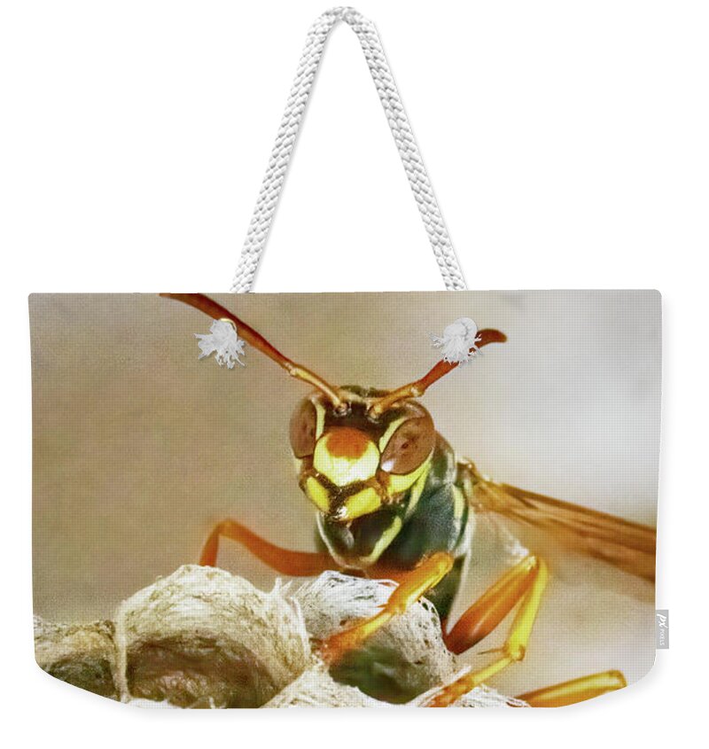 Wasp Weekender Tote Bag featuring the photograph Northern Paper Wasp by Ira Marcus