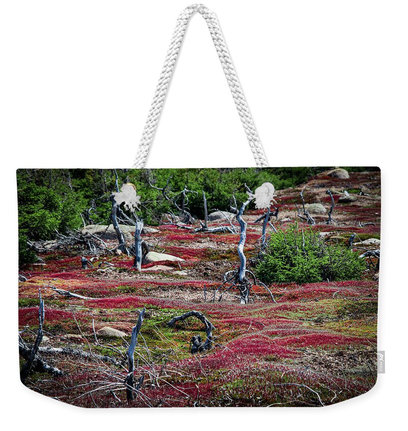 Northern Vegetation In Canada Weekender Tote Bag featuring the photograph Northern Vegetation in Labrador Canada by Makiko Ishihara