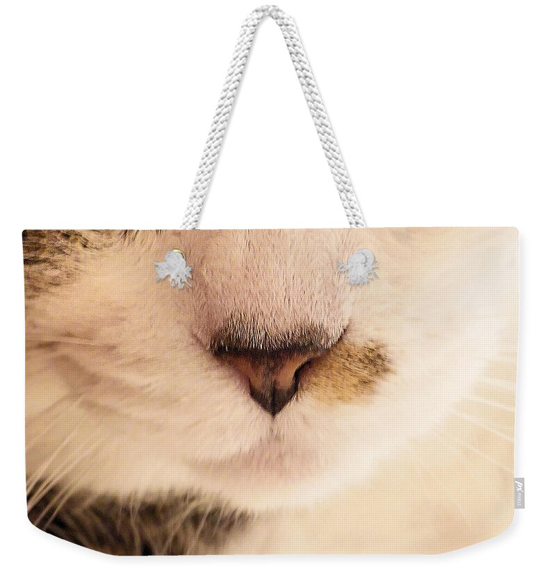 Cat Weekender Tote Bag featuring the photograph Nose and Whiskers by Steve Ember