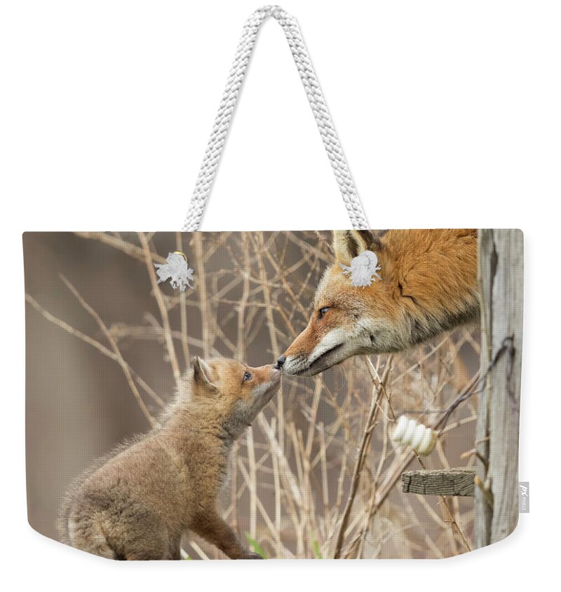 Red Fox Weekender Tote Bag featuring the photograph Nose To Nose by Everet Regal