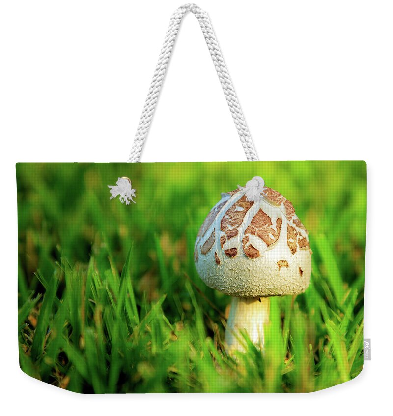 Mushroom Weekender Tote Bag featuring the photograph Not A Full Bloom Mushroom by James Eddy