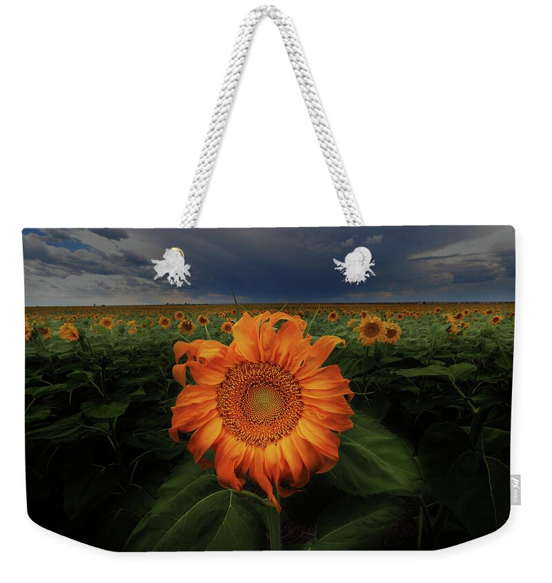 Sunflower Weekender Tote Bag featuring the photograph Not Just Another Face In The Crowd by Brian Gustafson
