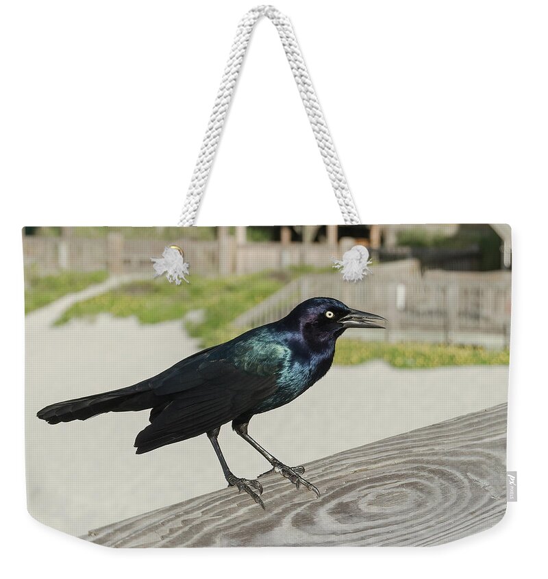 Bird Weekender Tote Bag featuring the photograph Nothing Special by John Kirkland
