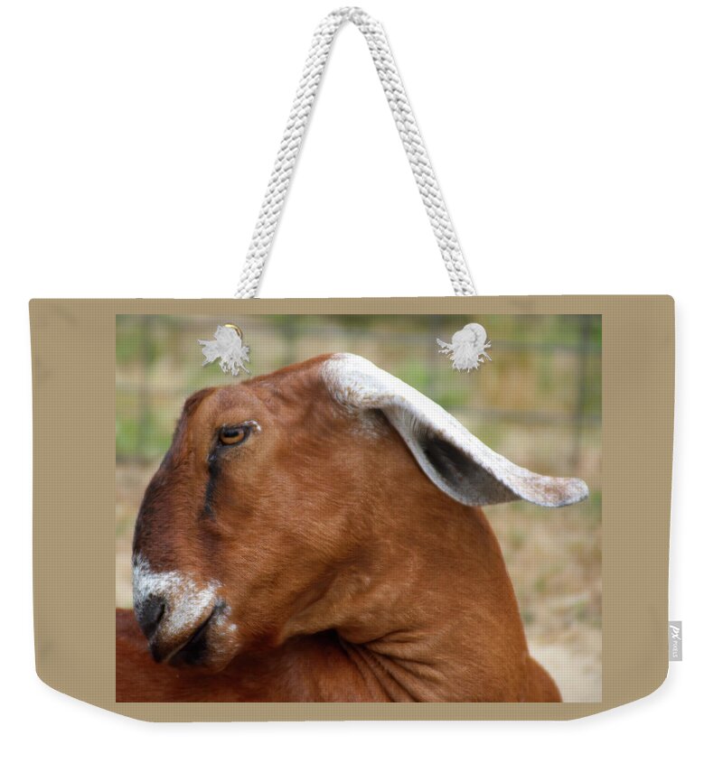 Goat Weekender Tote Bag featuring the photograph Nubian Goat by Flinn Hackett