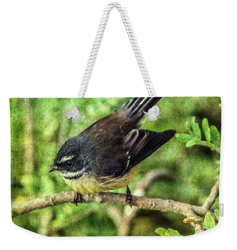 Bird Weekender Tote Bag featuring the photograph N.Z. Fantail 3 by Roseanne Jones