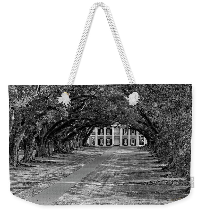 New Orleans Weekender Tote Bag featuring the photograph Oak Alley by Dan McGeorge