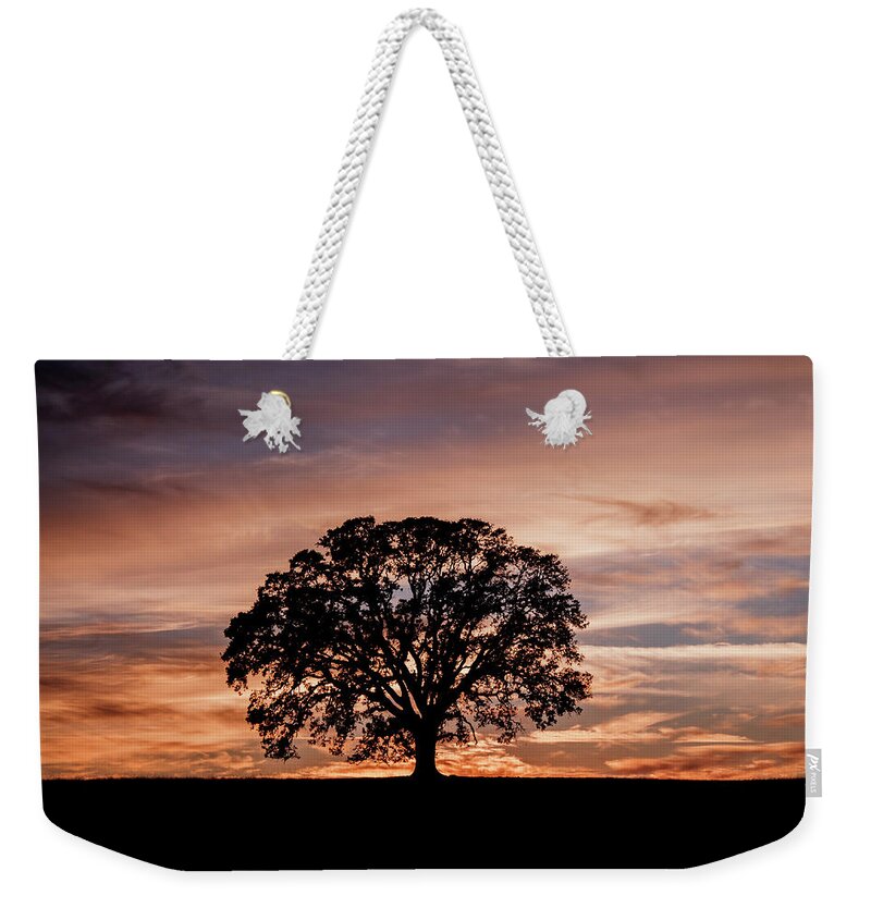 Oak Tree Weekender Tote Bag featuring the photograph Oak Tree at Sunset by Gary Geddes
