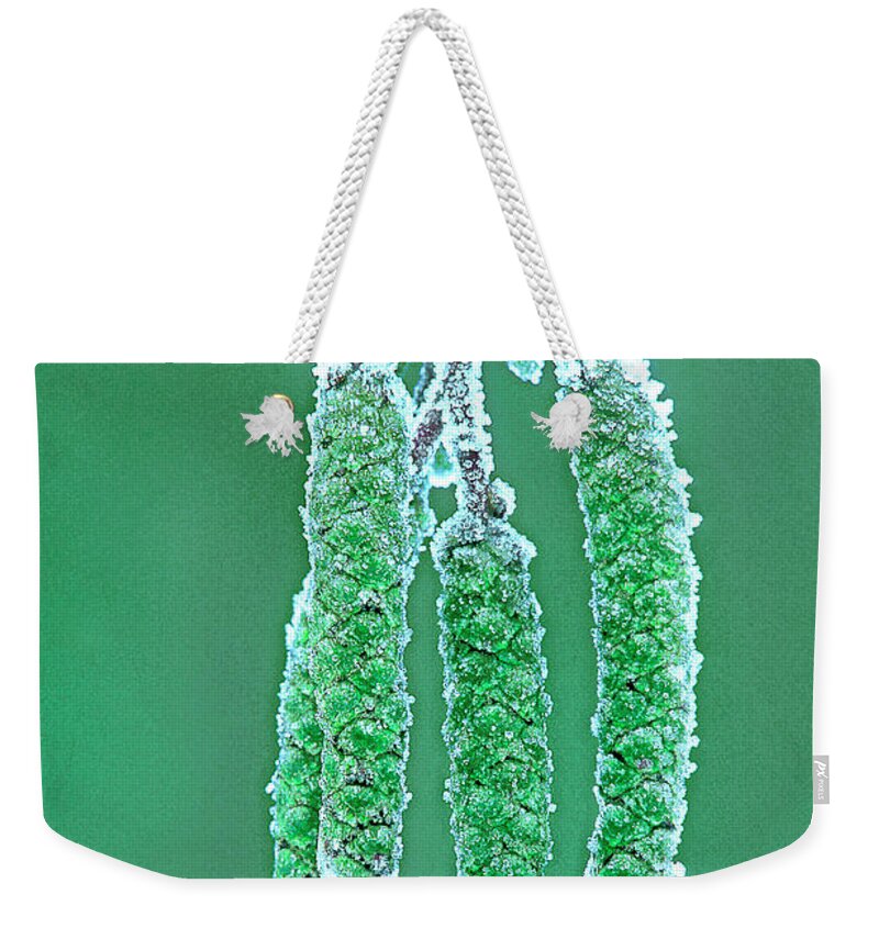 Dave Welling Weekender Tote Bag featuring the photograph Oak Tree Bud With Hoarfrost Yosemite National Park by Dave Welling