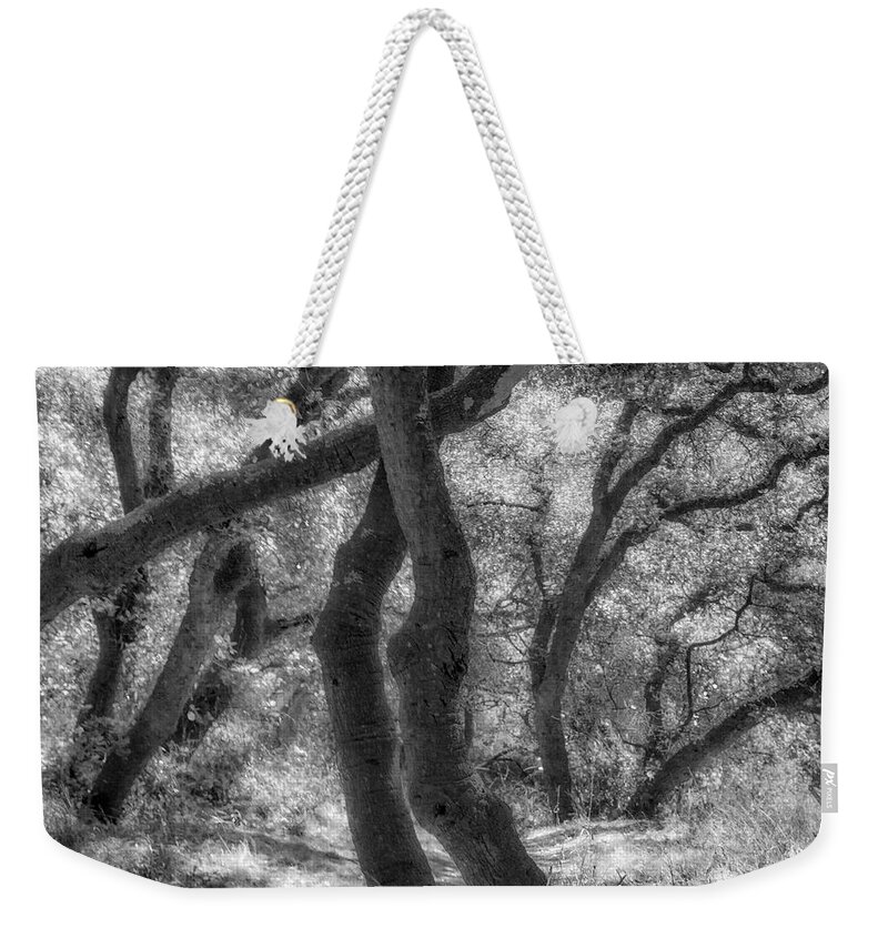 Oaks Weekender Tote Bag featuring the photograph Oaks, Golden Gate Park by Donald Kinney