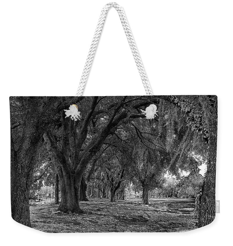 Oak Weekender Tote Bag featuring the photograph Oaks Lane by Debra Kewley