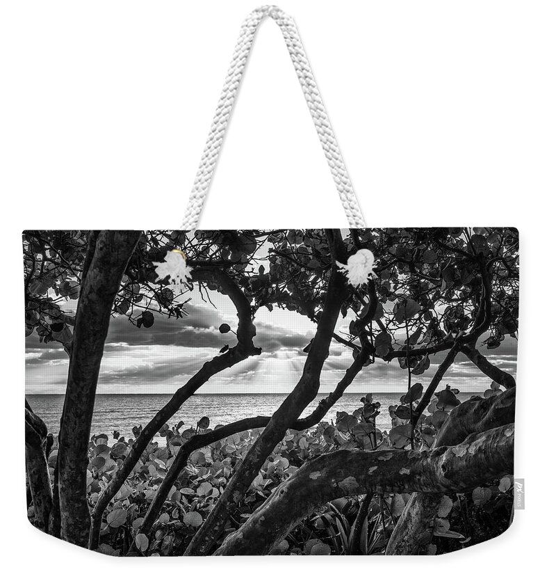 Beach Weekender Tote Bag featuring the photograph Ocean View Through Seagrape Trees BW by Laura Fasulo