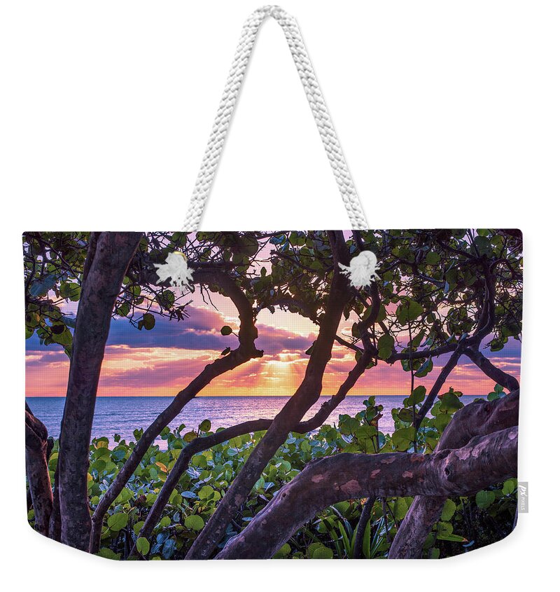 Beach Weekender Tote Bag featuring the photograph Ocean View Through Seagrape Trees by Laura Fasulo