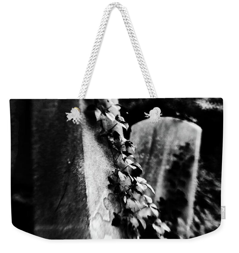 Of Life And Death Weekender Tote Bag featuring the photograph Of Life and Death by Alina Oswald