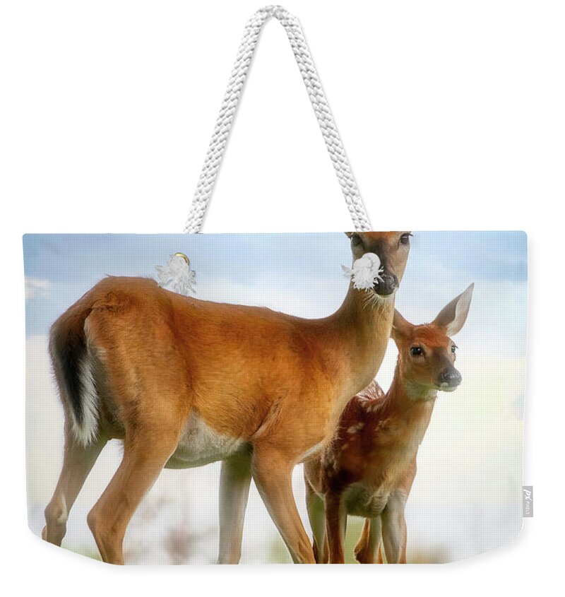 Deer Weekender Tote Bag featuring the photograph Oh, Deer, Let's Pose... by Shelia Hunt