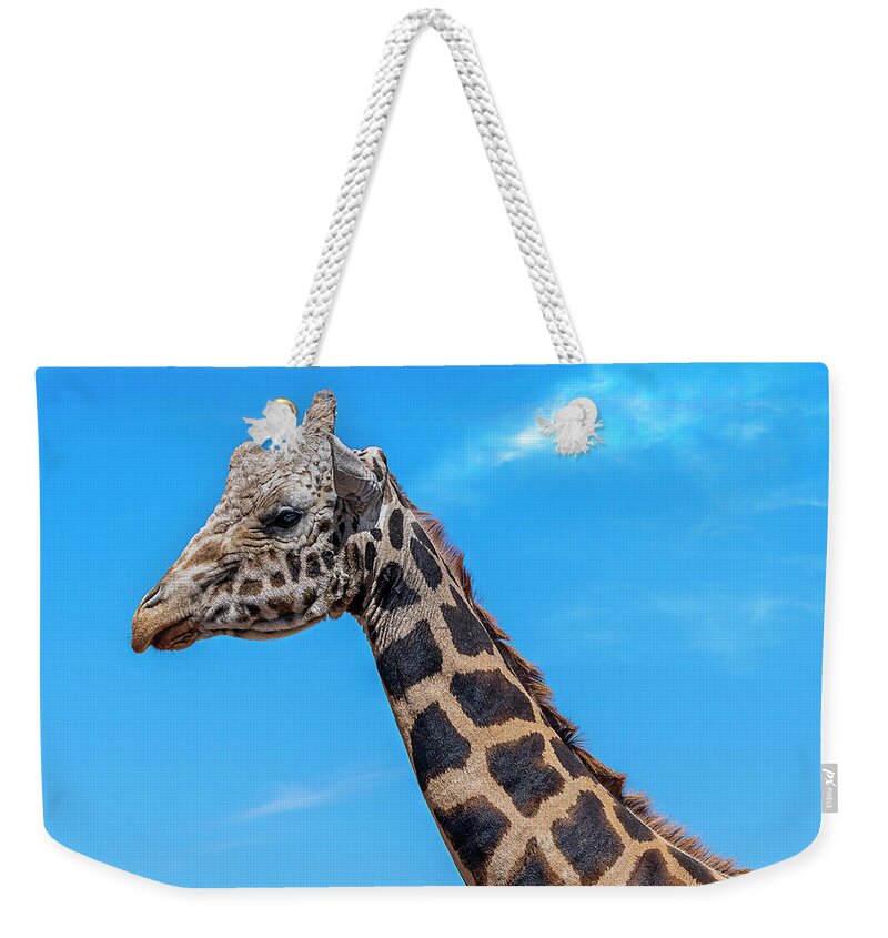  Weekender Tote Bag featuring the photograph Old Giraffe by Al Judge