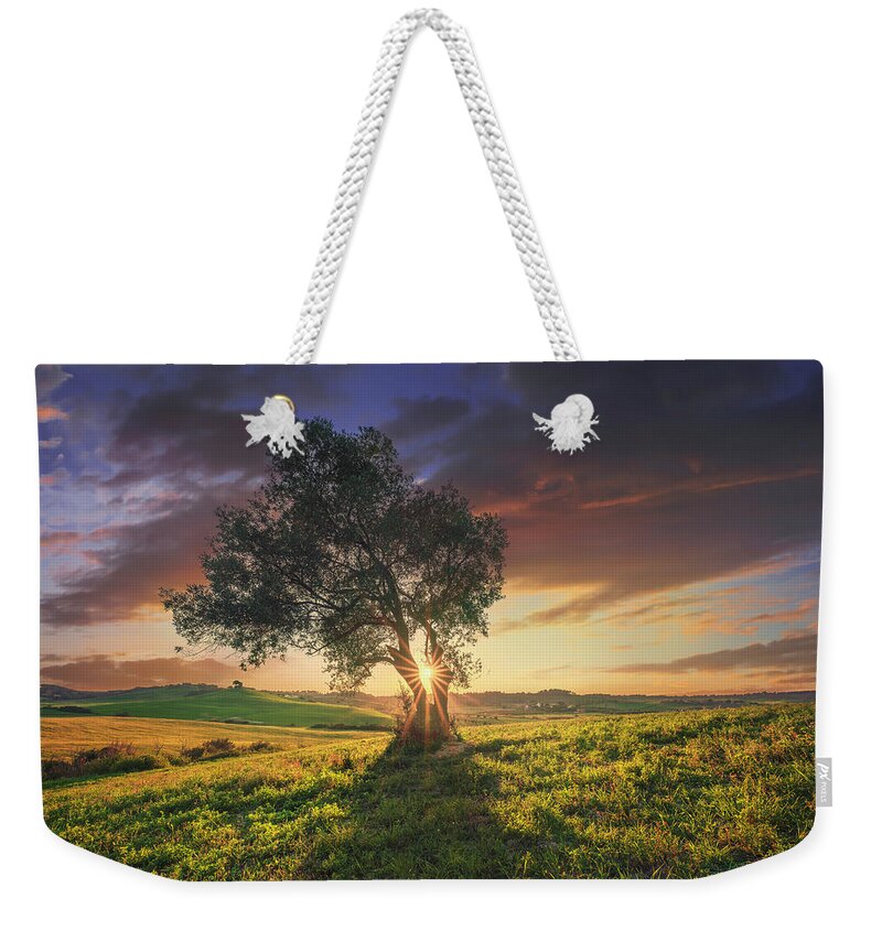 Olive Weekender Tote Bag featuring the photograph Olive tree at sunset. Tuscany by Stefano Orazzini