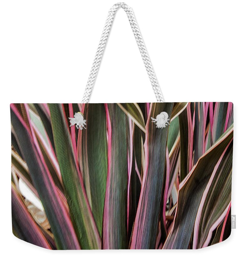 Olivera Weekender Tote Bag featuring the photograph Olivera by Mae Wertz