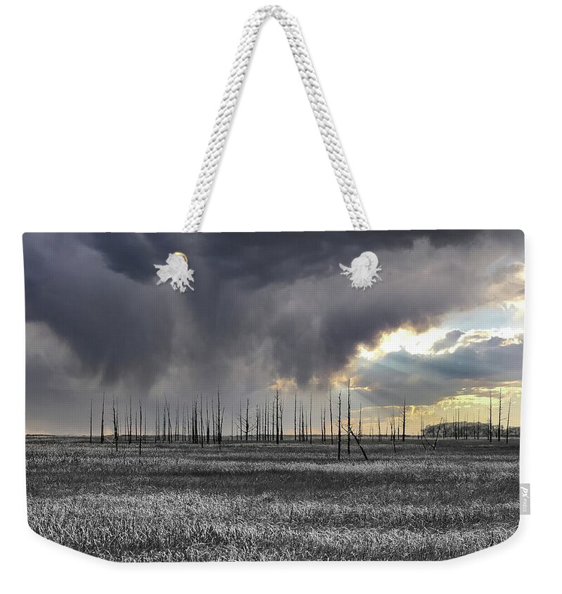 Cedar Tree Weekender Tote Bag featuring the photograph Ominous Sky by Louis Dallara