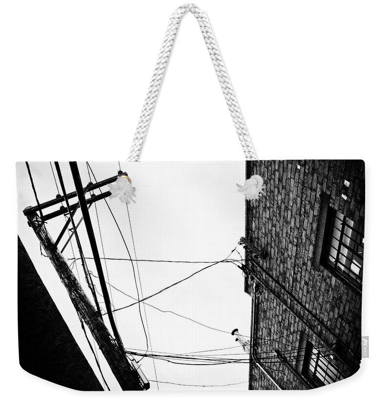 Black And White Weekender Tote Bag featuring the photograph On A Wire by Carmen Kern