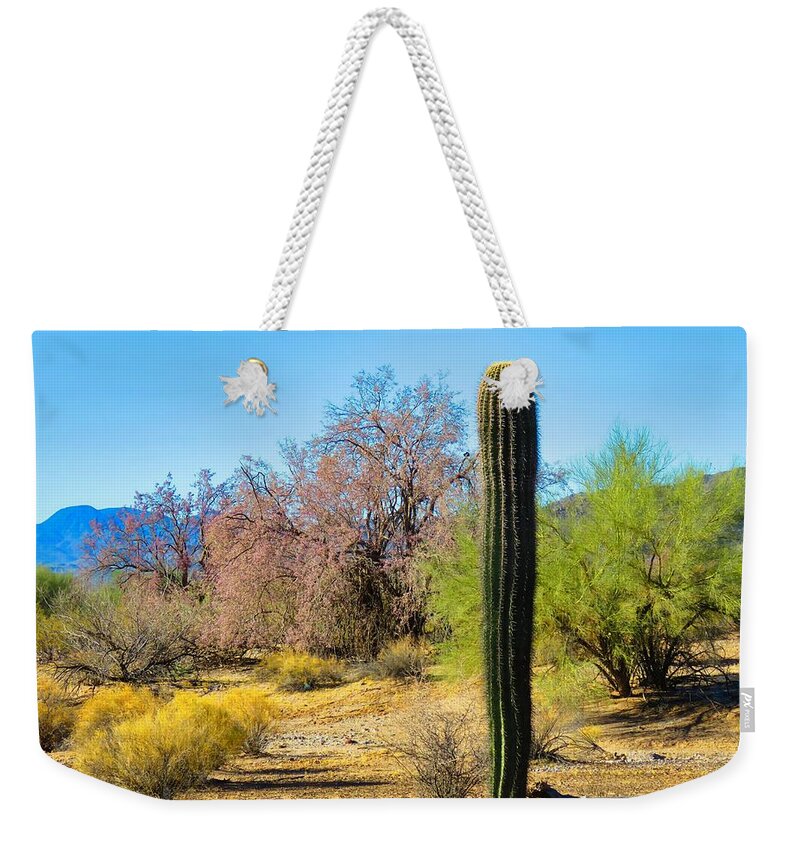 Arizona Weekender Tote Bag featuring the photograph On the Ironwood Trail by Judy Kennedy