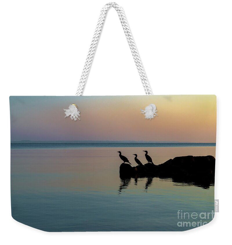 Birds Weekender Tote Bag featuring the photograph On the lookout by Daniel M Walsh