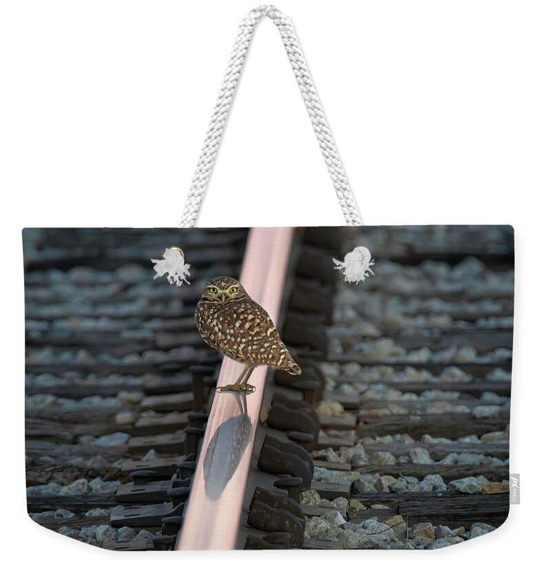 Burrowingowl Weekender Tote Bag featuring the photograph On the Rails by Pam Rendall