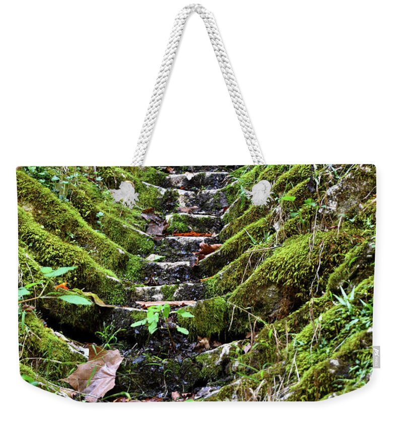 Norris Dam Weekender Tote Bag featuring the photograph On The Road 18 by Phil Perkins