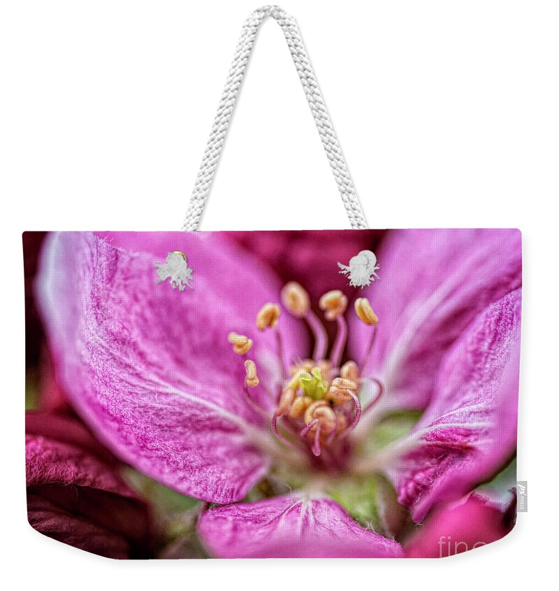 Pink Weekender Tote Bag featuring the photograph One Opened Blossom by Pamela Dunn-Parrish