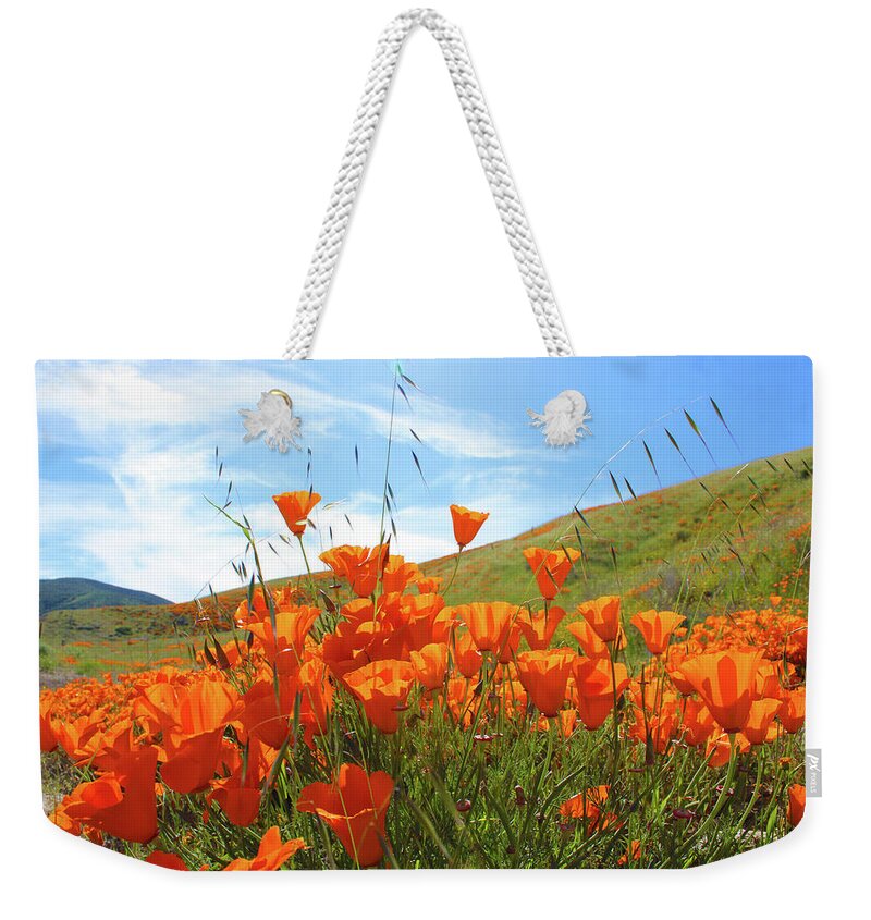 Flowers Weekender Tote Bag featuring the photograph Once Upon a Time in a Poppy field by Marcus Jones