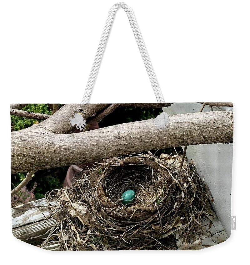Robin’s Egg Weekender Tote Bag featuring the photograph Only Child by Kate Conaboy