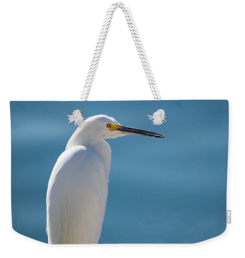 Egret Weekender Tote Bag featuring the photograph Only One Egret by Bonny Puckett
