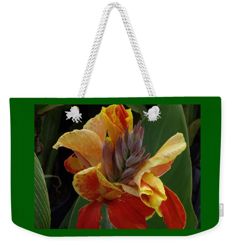 Canna Lily Weekender Tote Bag featuring the photograph Orange and Gold Canna by Nancy Ayanna Wyatt