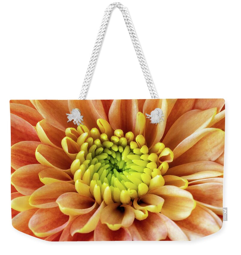 Chrysanthemum Weekender Tote Bag featuring the photograph Orange Chrysanthemum Macro by Tanya C Smith