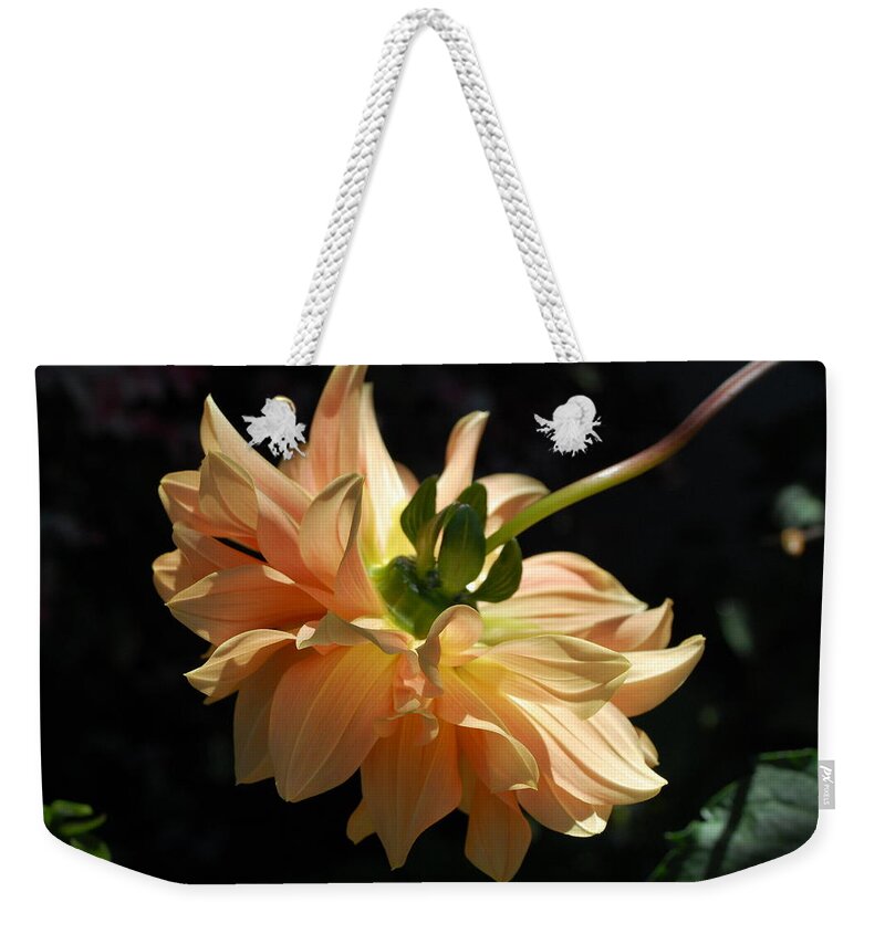 Dahlia Weekender Tote Bag featuring the photograph Orange Dahlia by Amy Fose