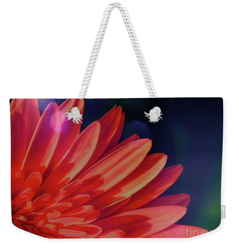 Floral Art Weekender Tote Bag featuring the photograph Orange Daisy in Light by Diana Mary Sharpton