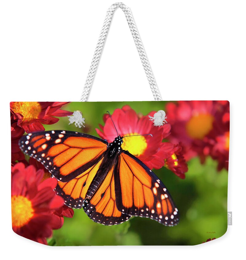 Monarch Butterfly Weekender Tote Bag featuring the photograph Orange Drift Monarch Butterfly by Christina Rollo