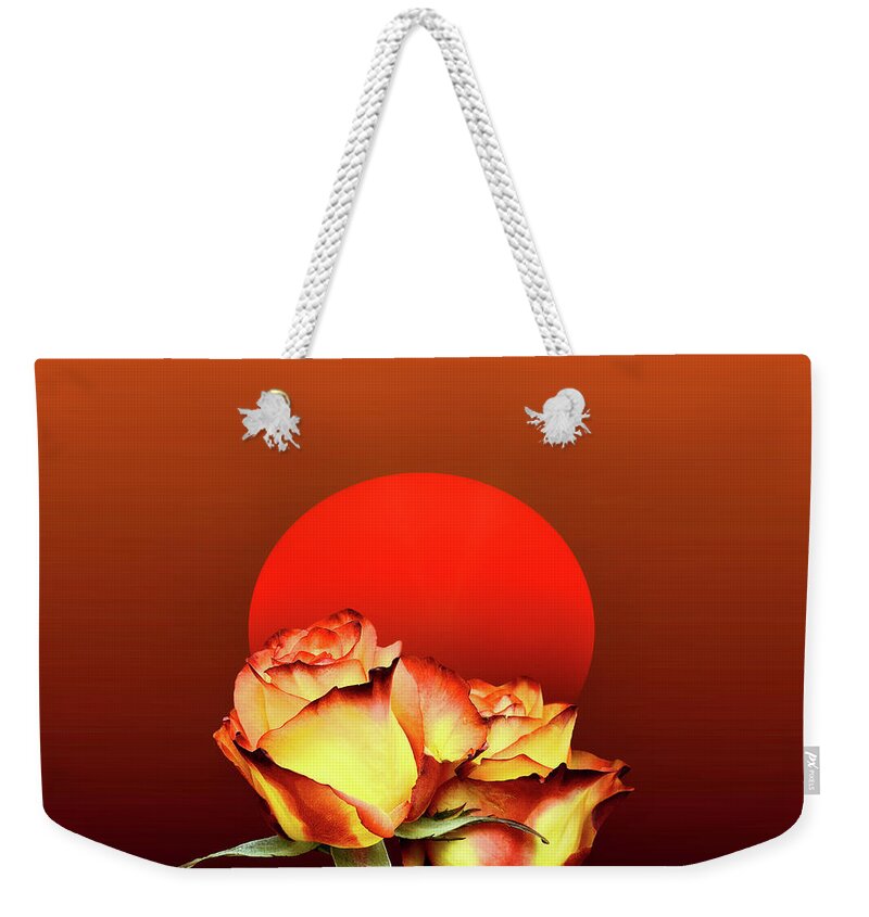 Sun Weekender Tote Bag featuring the digital art Orange Duo by Norman Brule