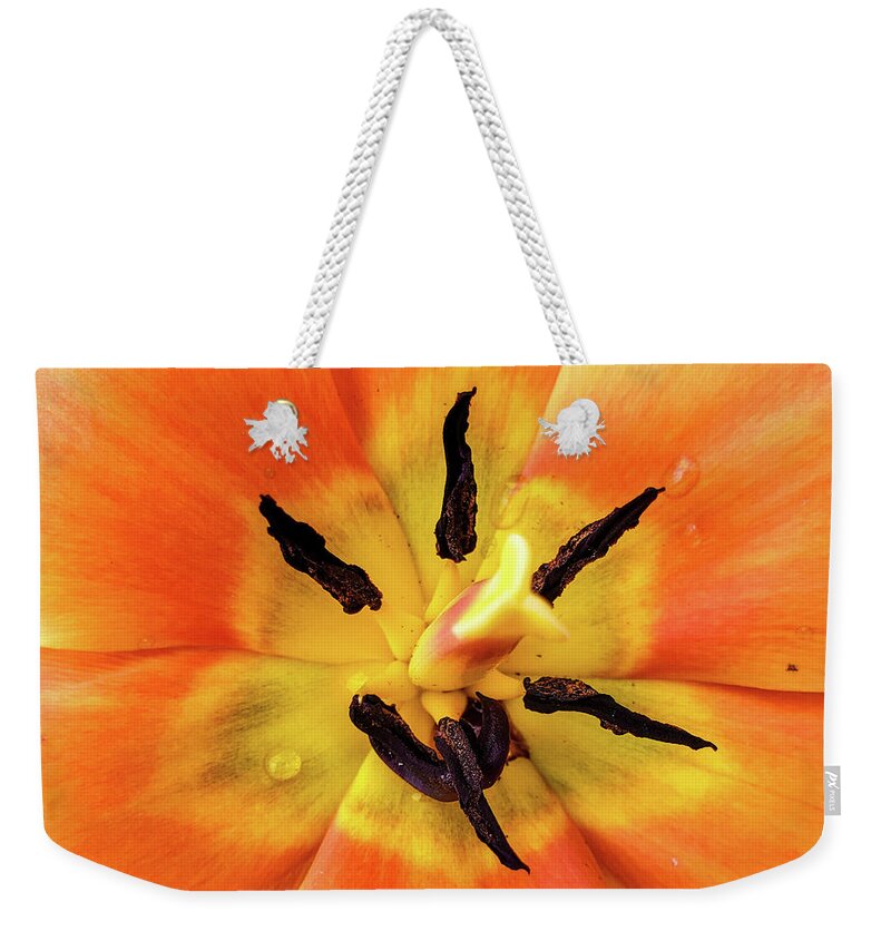 Orange Floral Closeup Macro Weekender Tote Bag featuring the photograph Orange Floral Closeup Macro by David Millenheft