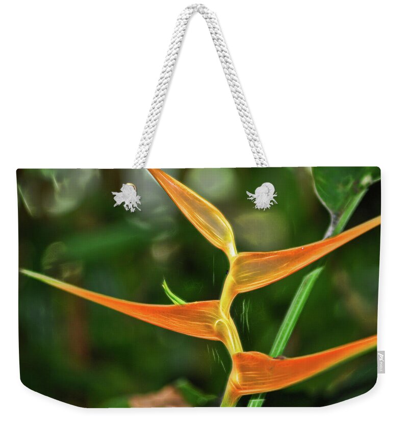 Orange Flower Weekender Tote Bag featuring the photograph Orange Flower at Botanical Gardens by Cordia Murphy