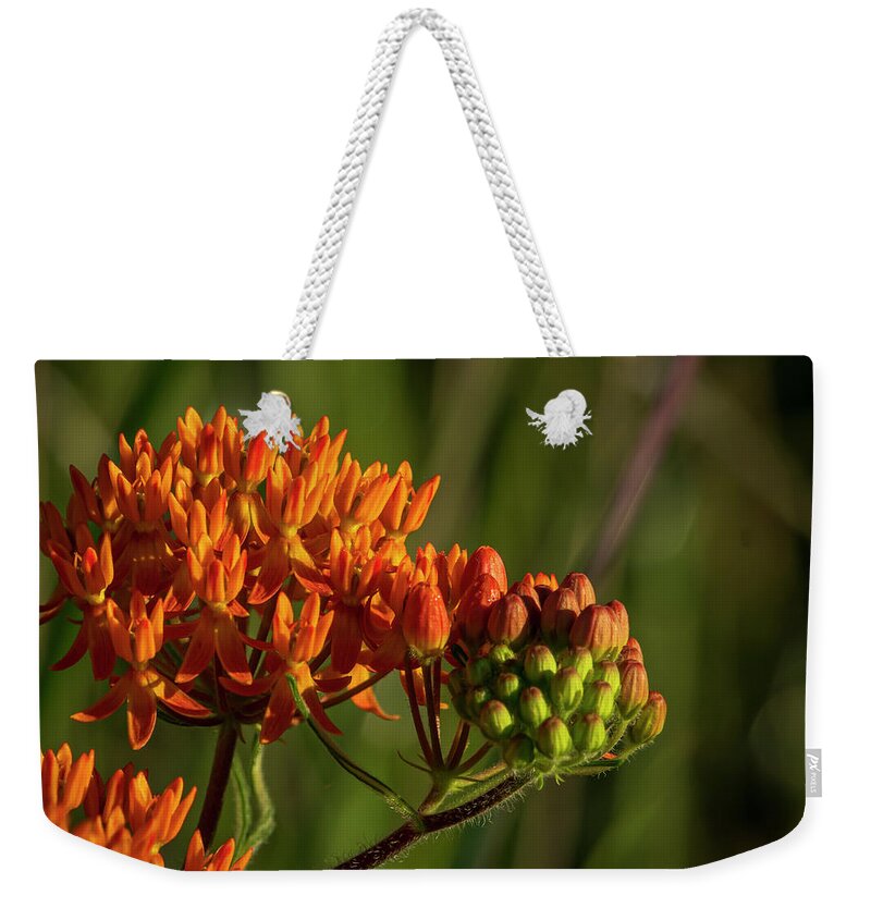 Wildflwoers Weekender Tote Bag featuring the photograph Orange Flwers and Buds by Sandra J's