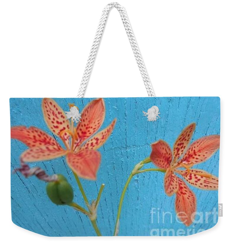 Orange Weekender Tote Bag featuring the photograph Orange Lily on blue by Nancy Graham
