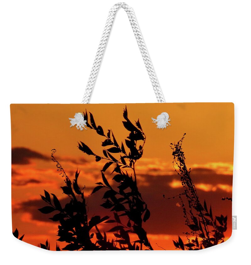 Sunset Weekender Tote Bag featuring the photograph Orange Sunset Sky by Linda Stern