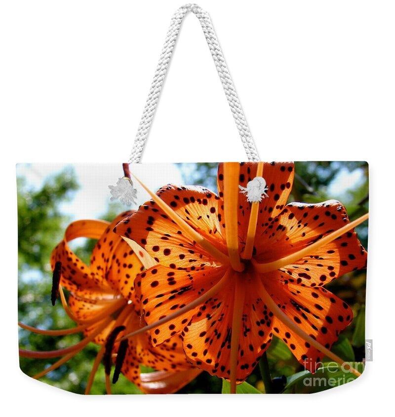 Orange Tiger Lily Weekender Tote Bag featuring the digital art Orange Tiger Lily by Tammy Keyes