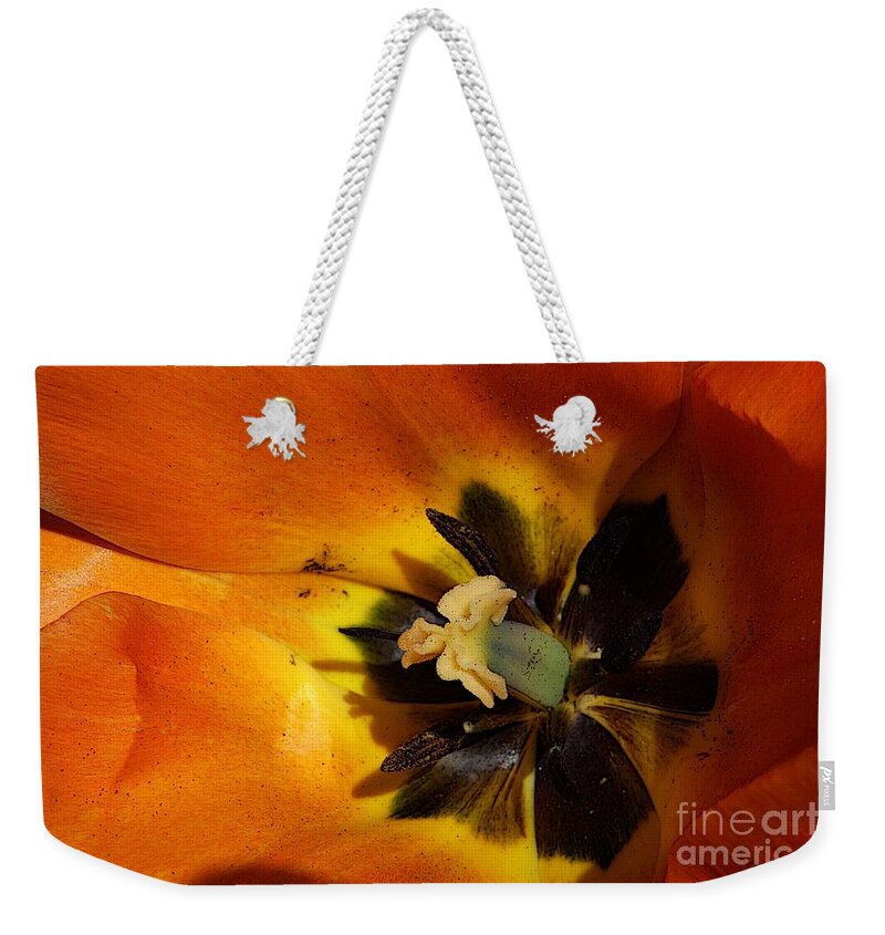 Art Weekender Tote Bag featuring the photograph Orange Tulip 1 by Jean Bernard Roussilhe