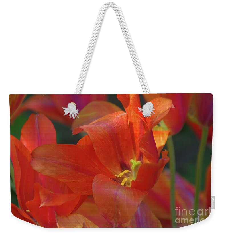 Flowers Weekender Tote Bag featuring the photograph Orange Tulips by Diana Mary Sharpton