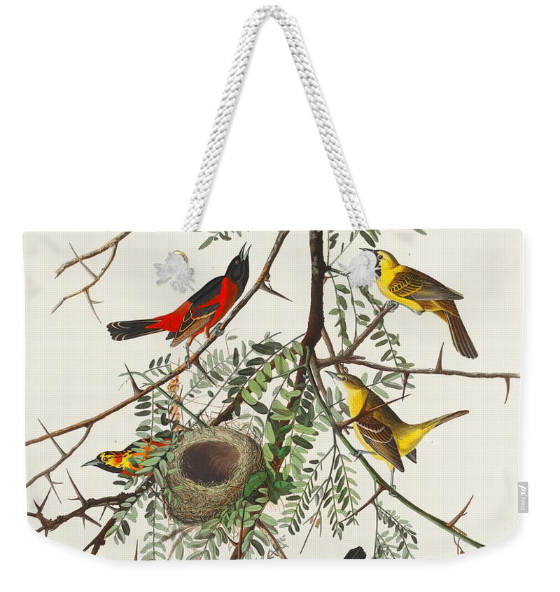 Orchard Oriole Weekender Tote Bag featuring the mixed media Orchard Oriole. John James Audubon by World Art Collective