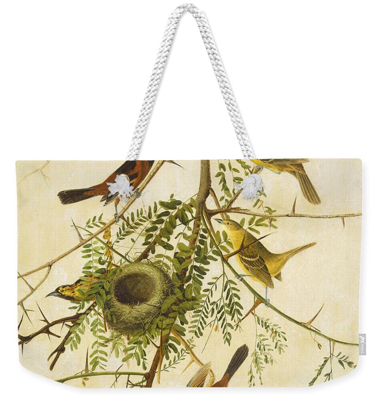 Orchard Oriole Weekender Tote Bags