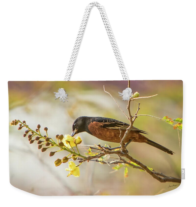 Orchard Oriole Weekender Tote Bag featuring the photograph Orchard Oriole by Jurgen Lorenzen