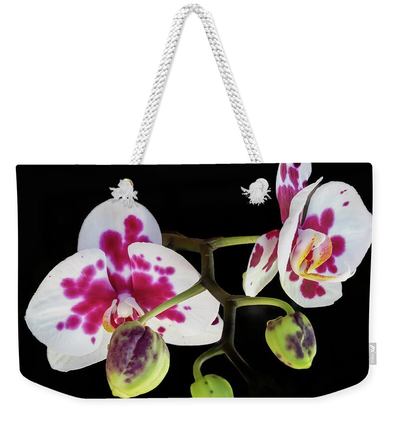 Orchid Weekender Tote Bag featuring the photograph Orchid Promise by Richard Goldman